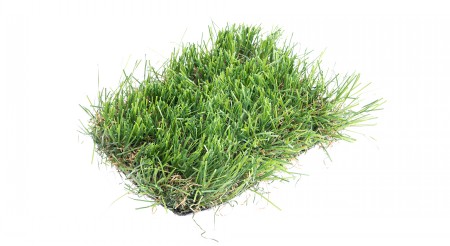 Nostell 40mm Artificial Grass - per m2